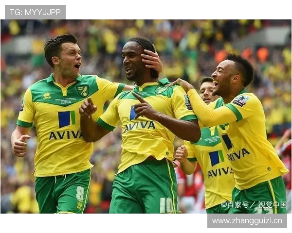 诺维奇降级后阵容调整与重建策略分析